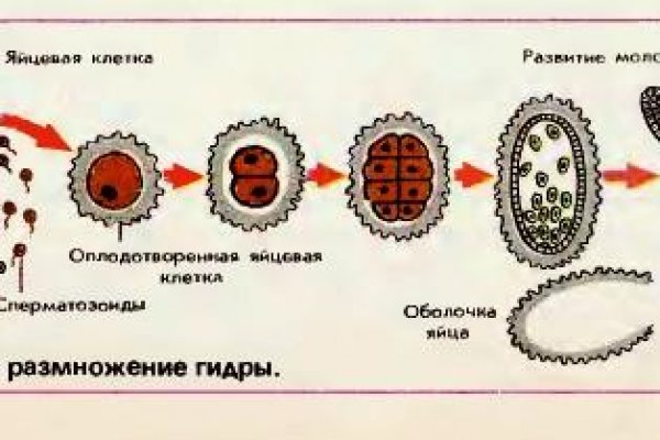 Кракен kr2web in что это